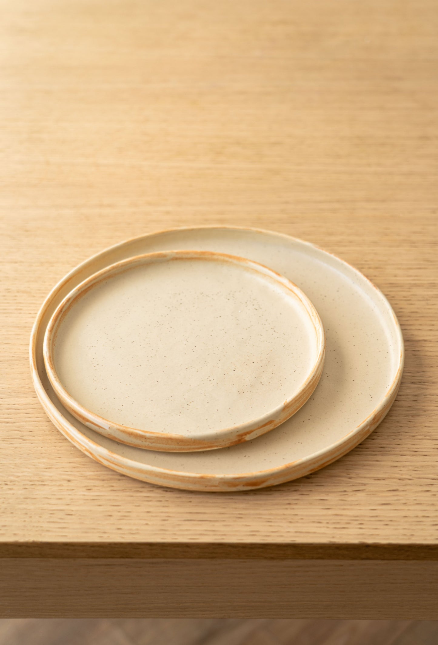 Beige Matte Stoneware Dinner Plates